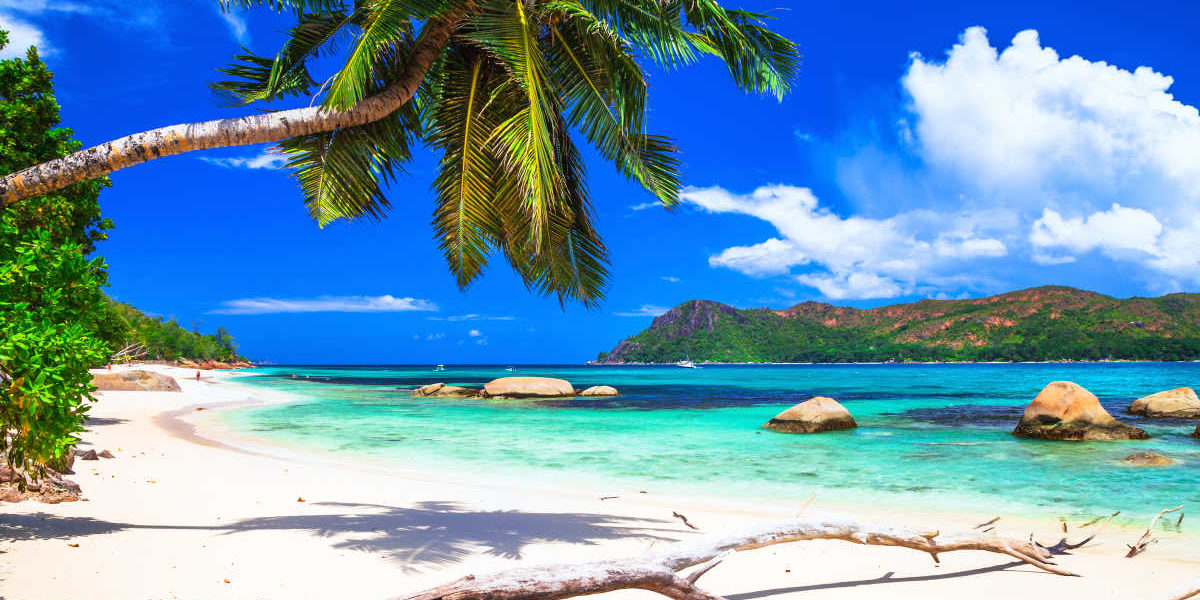 Quels moyens de transport pour se rendre et se déplacer aux Seychelles ? Quels moyens de transport pour se rendre et se déplacer aux Seychelles ?