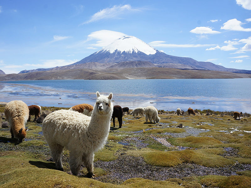 Ces destinations coup de cœur en Amérique du Sud Ces destinations coup de cœur en Amérique du Sud